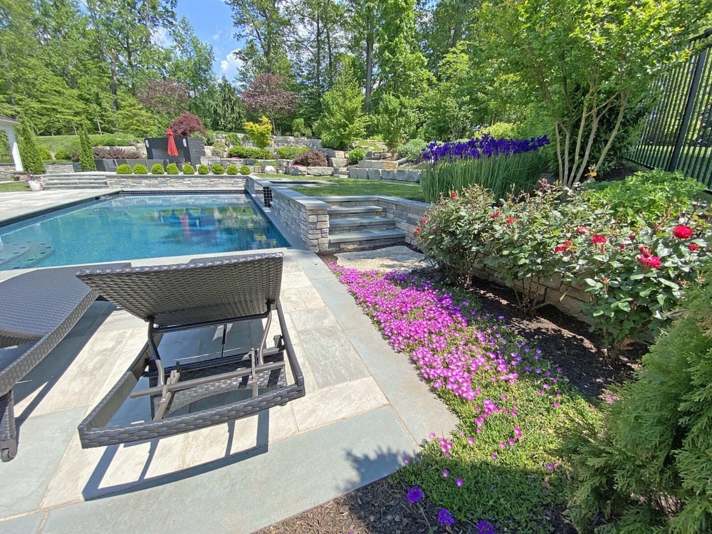 Landscaping around pool by Deckscapes of Virginia