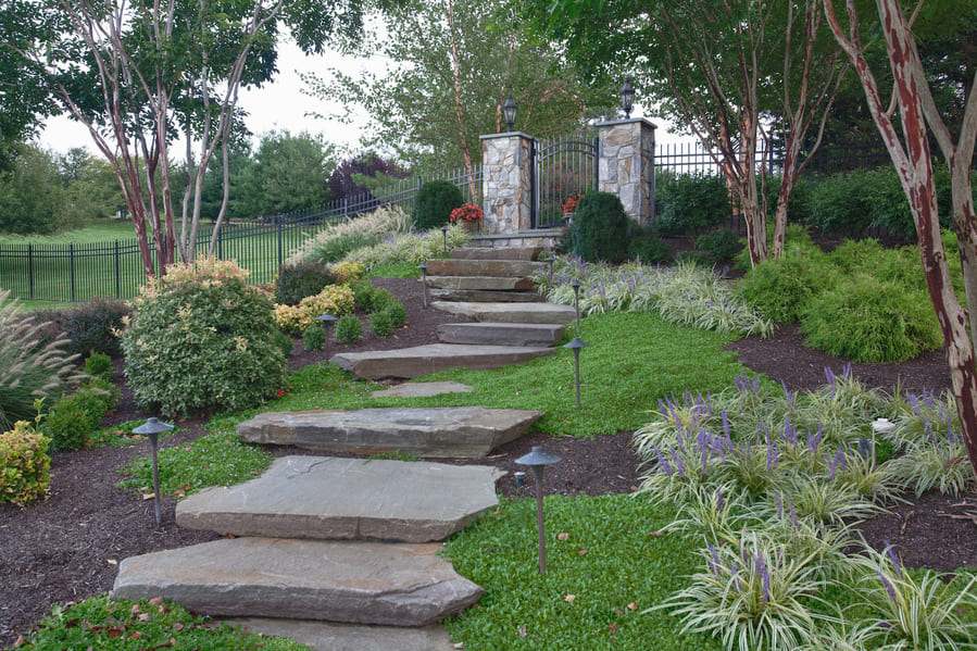 Custom Landscaping Stone Pathway with Greenery by Deckscapes